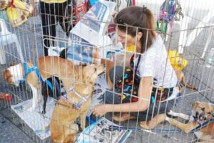 Shopping Metrô Itaquera promove 1ª feira de adoção de animais