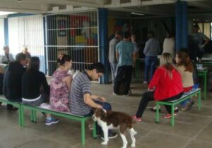 Cangaíba recebe mutirão de castração