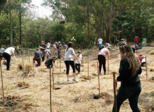 Há 26 anos, Instituto Brasileiro de Defesa da Natureza (IBDN) realiza a neutralização de carbono